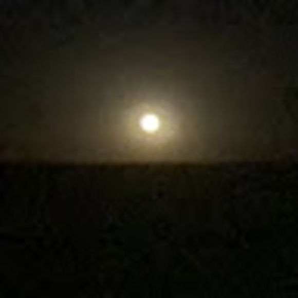 Meet your Posher, Makayla - Picture 1 of 1